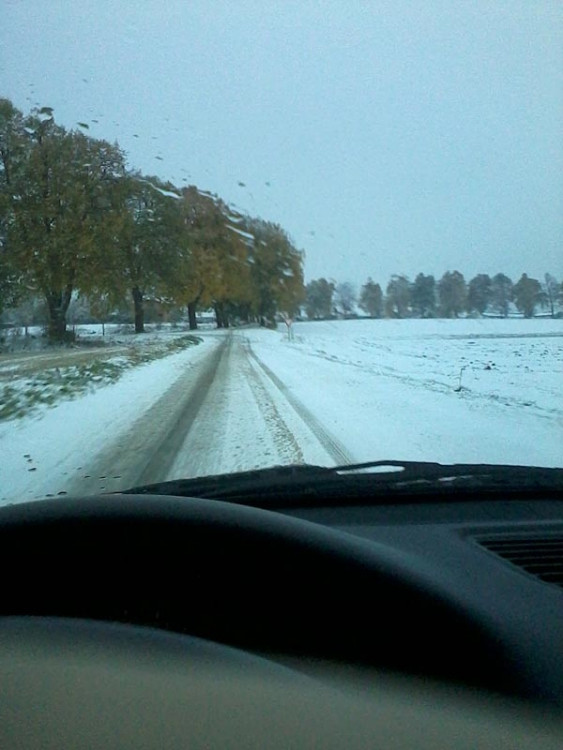 Cesta z Budějc do Vimperku. Foto Jana Voříšková