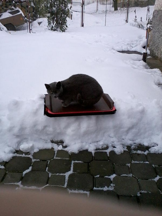Cesta z Budějc do Vimperku. Foto Jana Voříšková