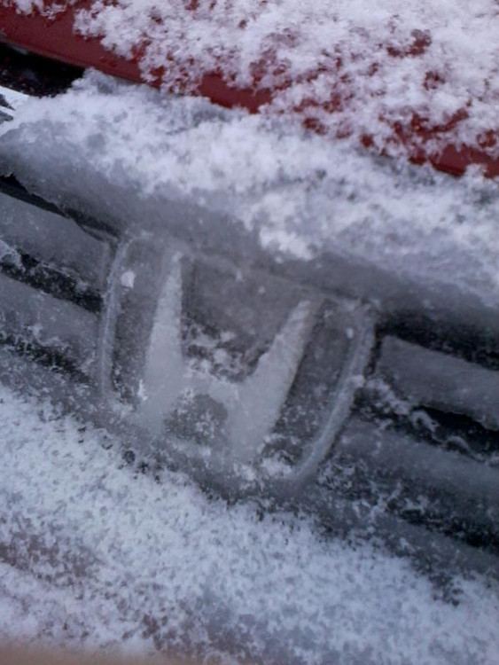 Cesta z Budějc do Vimperku. Foto Jana Voříšková