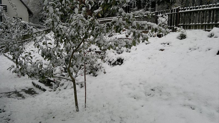Lhenice. Foto Jiří Blažek
