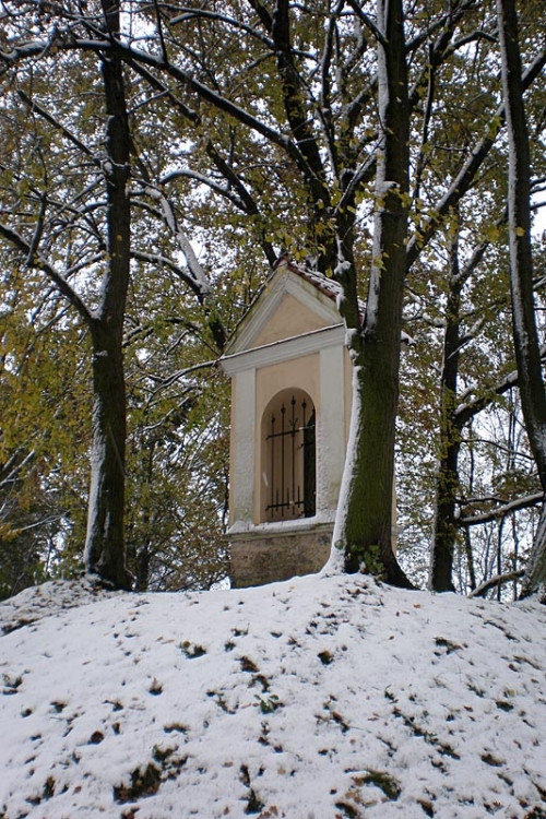 Okolí Kněžských Dvorů. Foto Martina Vachová