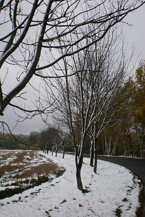 Okolí Kněžských Dvorů. Foto Martina Vachová