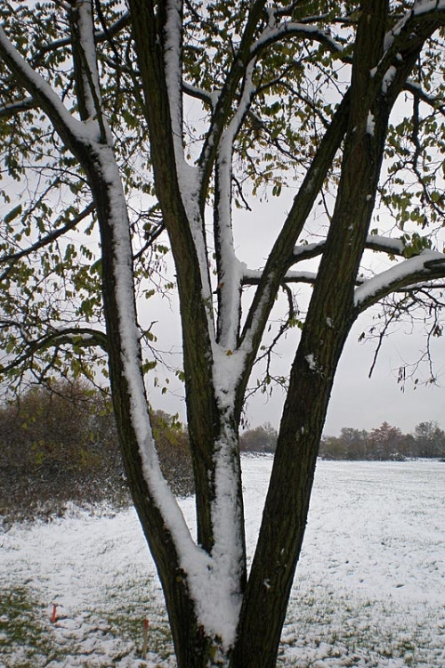 Okolí Kněžských Dvorů. Foto Martina Vachová
