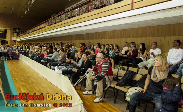 VK Jihostroj České Budějovice - Budvanska Rivijera Budva 3:0