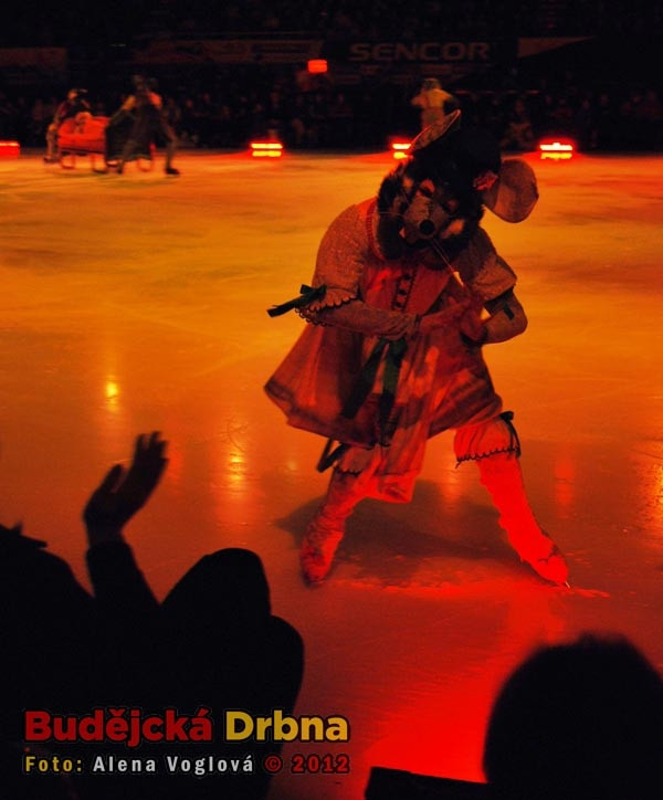 Krasobruslaři zapojovali do děje i diváky