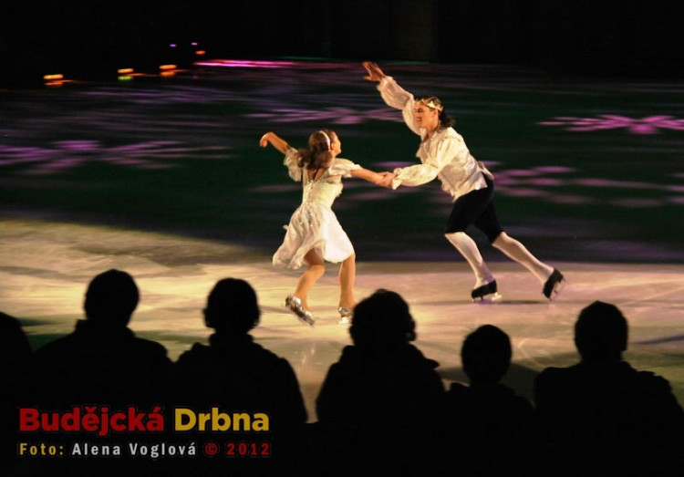 Na ledě se představili krasobruslaři ze sedmi zemí světa