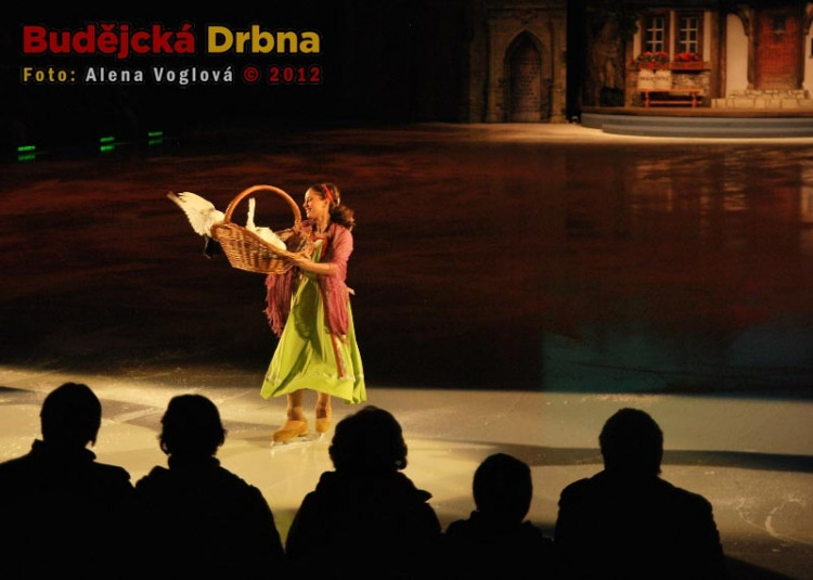 Popelka a živí holoubci