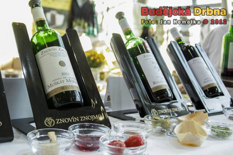 8. Gastrofest 2012 v Českých Budějovicích