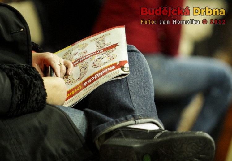 VK Jihostroj České Budějovice - Berlin Recycling Volleys 3:1