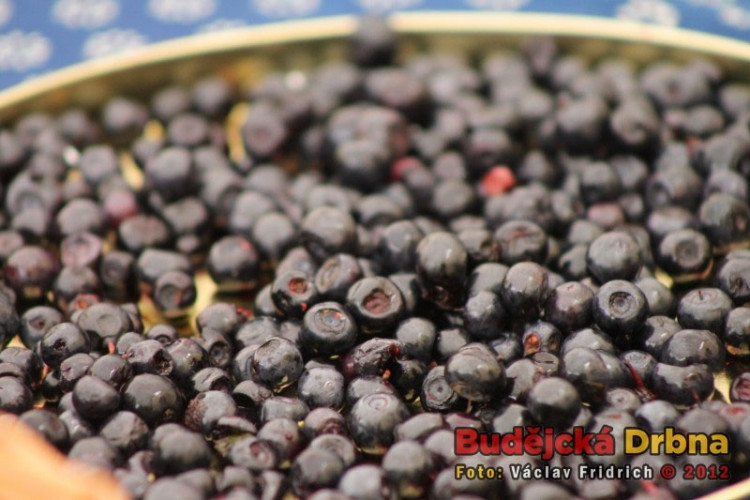 Borovanské Borůvkobraní