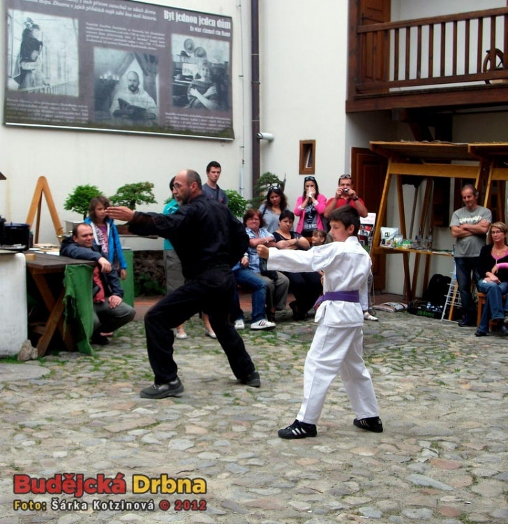 Japonské kulturní dny v domě U Beránka