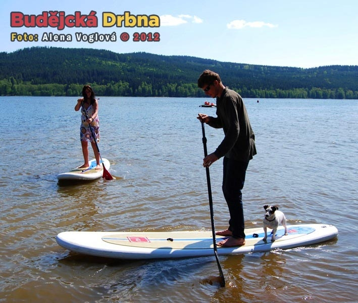 Paddleboard na Lipně nelákal pouze lidskou rasu