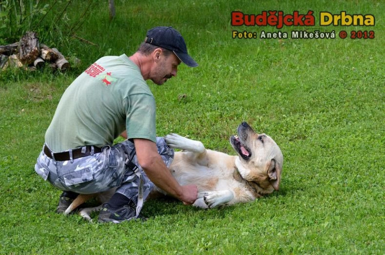 Vladimír Kössl z Animal Rescue s jedním ze svých svěřenců
