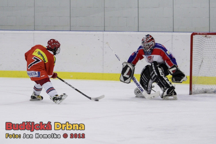 Memoriál Daniela Fleischmana 2012