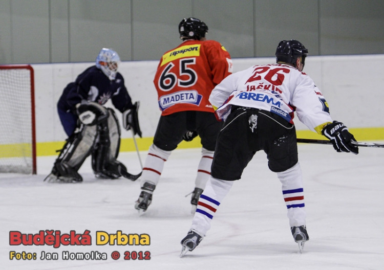 Memoriál Daniela Fleischmana 2012