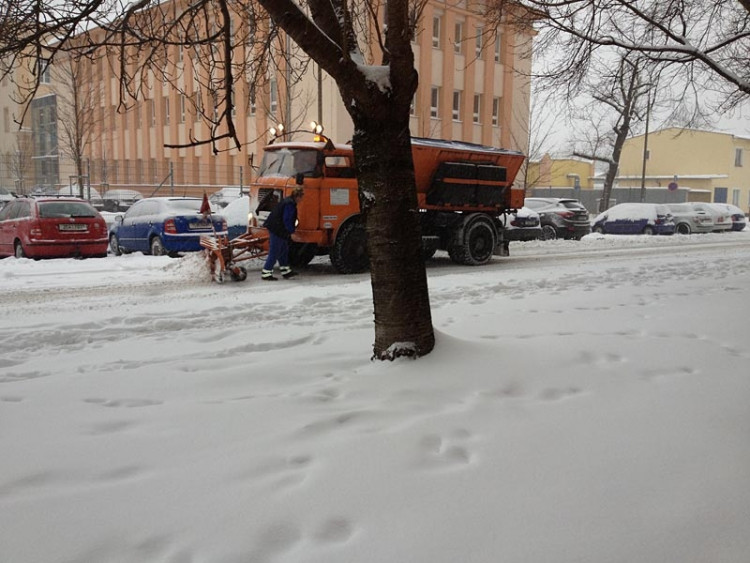 Generála Svobody (17.1.2013). Foto Matty