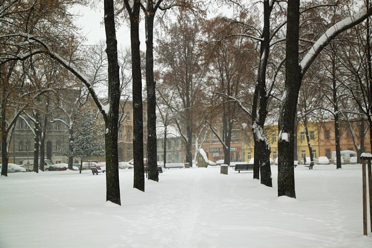 Palackého náměstí (17.1.2013). Foto Jaroslav Mašek