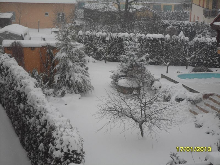 Suché Vrbné (17.1.2013). Foto Marcela Štětinová