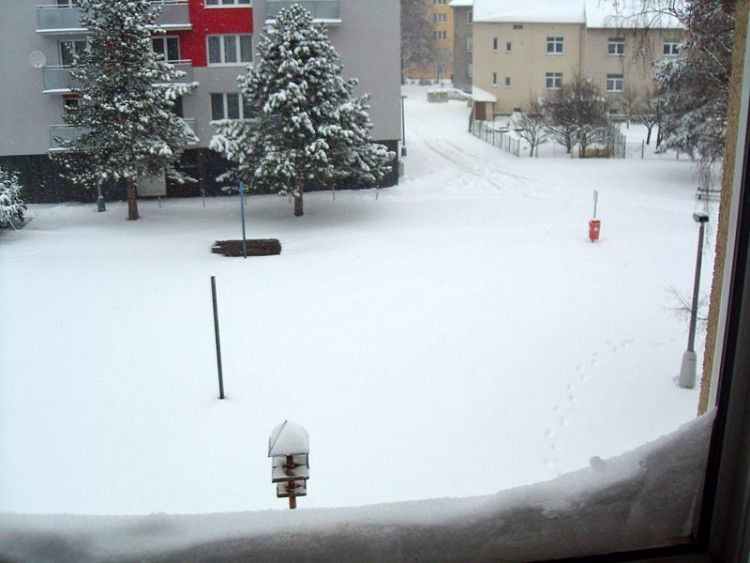 Zachariášova (17.1.2013). Foto Wanouz