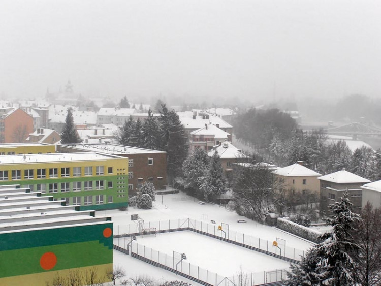 Budějce (17.1.2013). Foto Alena Mráčková