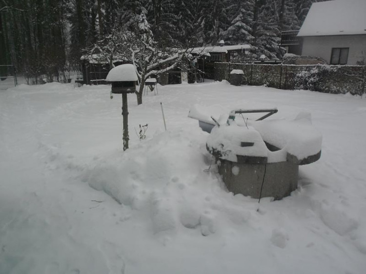 Janovka u Nových Hradů (17.1.2013). Foto Borová Šiška