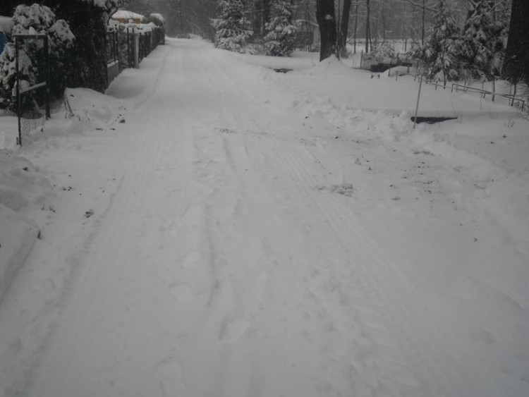 Janovka u Nových Hradů (17.1.2013). Foto Borová Šiška