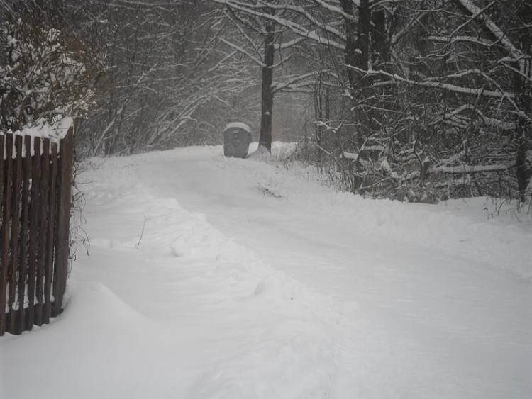 Janovka u Nových Hradů (17.1.2013). Foto Borová Šiška