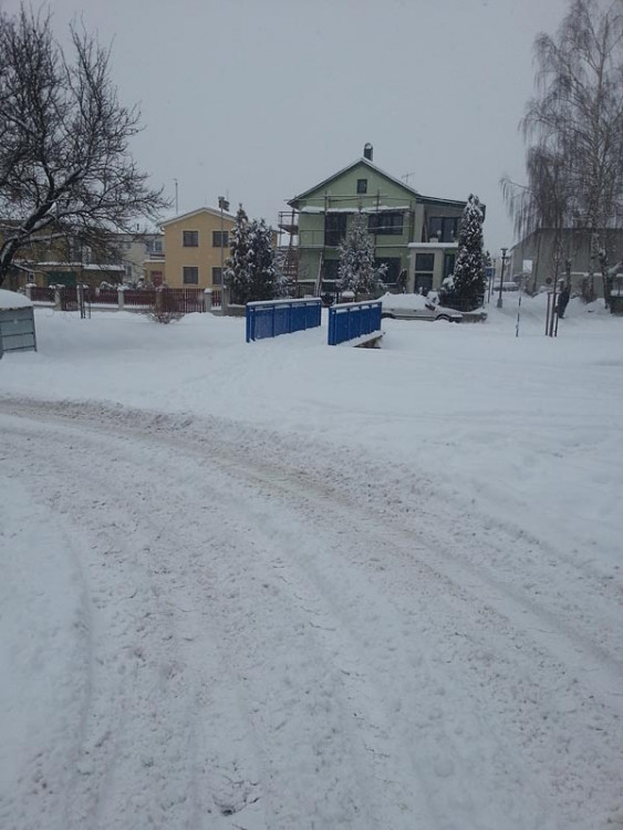 Suché Vrbné (17.1.2013). Foto David Sedláček