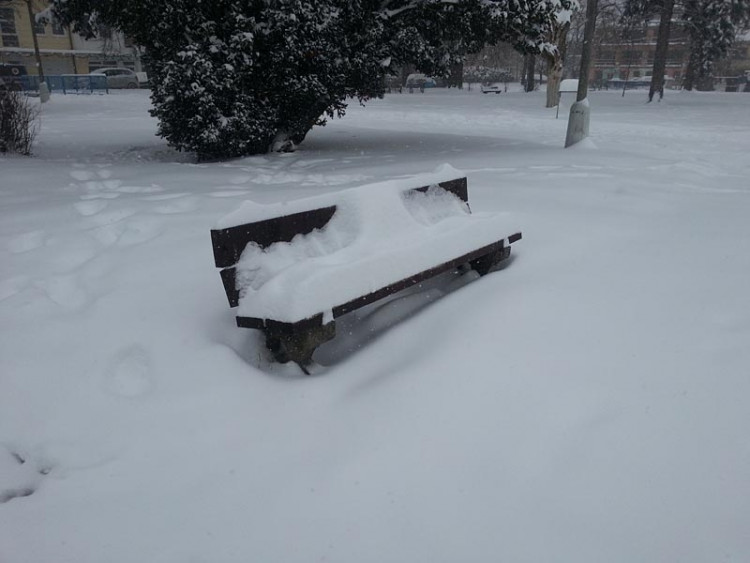 Suché Vrbné (17.1.2013). Foto David Sedláček