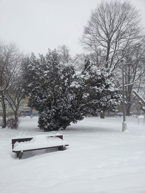 Suché Vrbné (17.1.2013). Foto David Sedláček