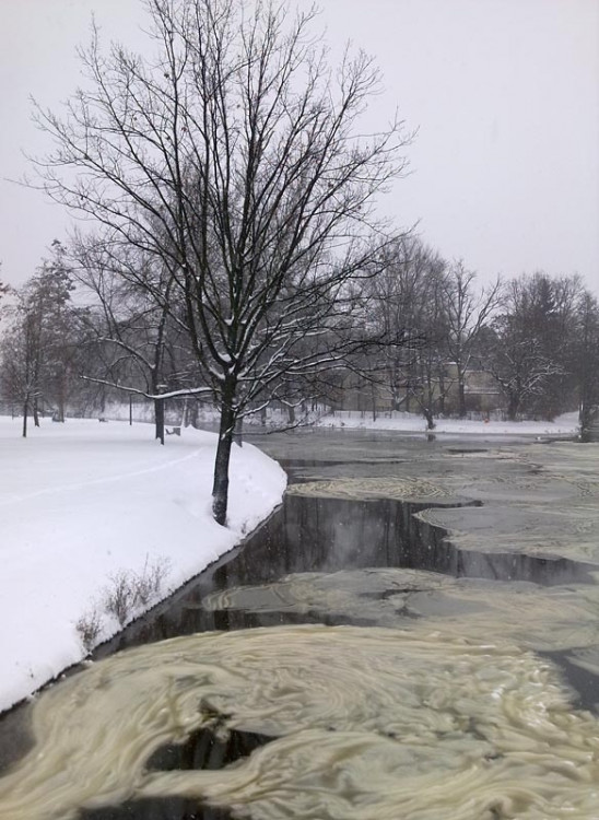 U Vltavy (17.1.2013). Foto Iveta Žaludková