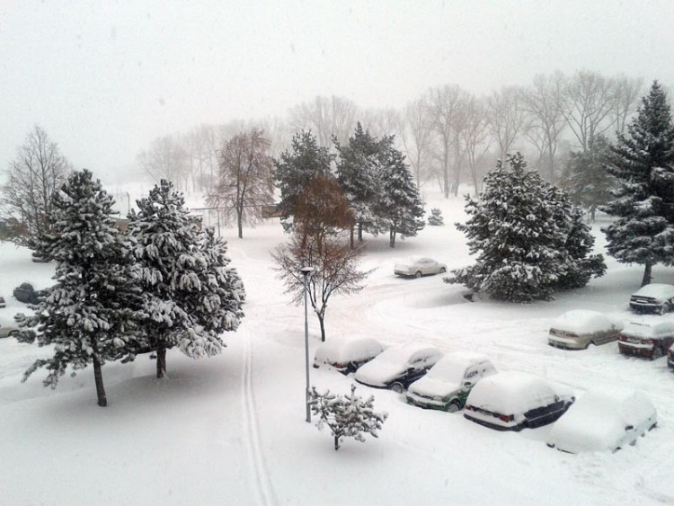 Jihočeská univerzita - kolej K4 (17.1.2013). Foto Markéta Medviďová