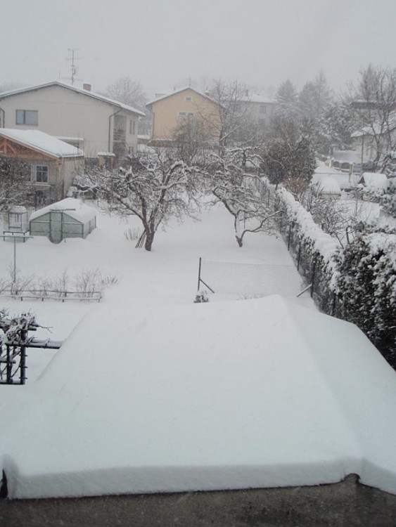 Adamov (17.1.2013). Foto Markéta Ranglová