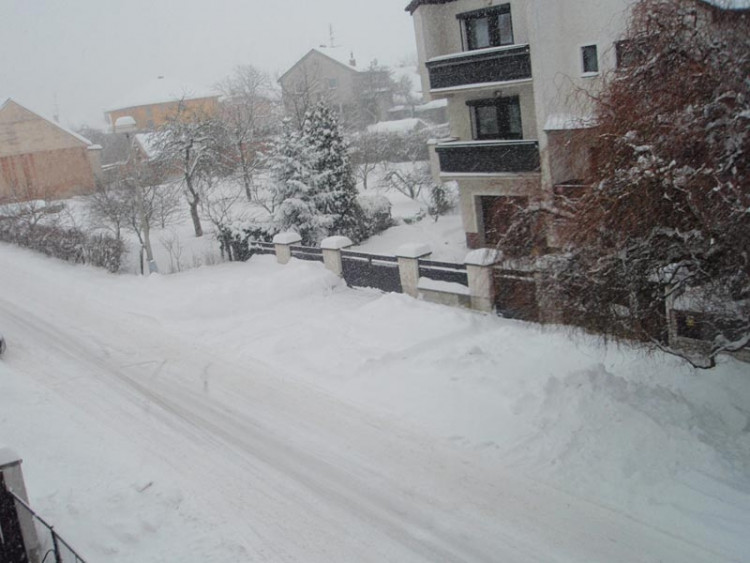 Adamov (17.1.2013). Foto Markéta Ranglová2