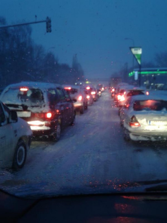 Dlouhá louka (17.1.2013). Foto Josef Vyšata