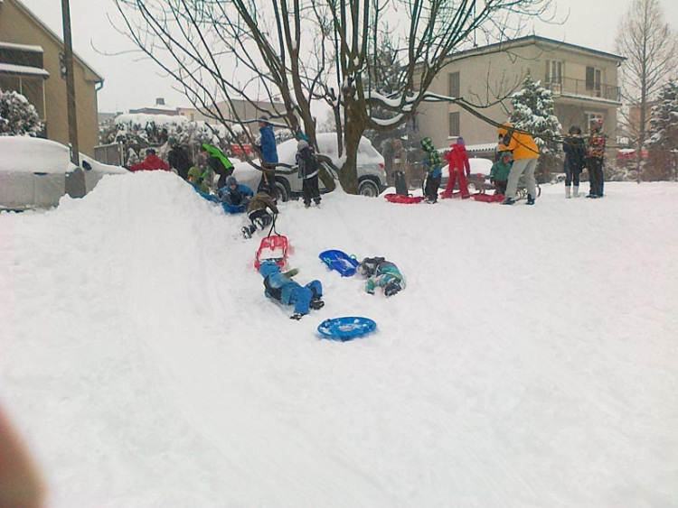 Budějce (17.1.2013). Foto Jan Novotný starší