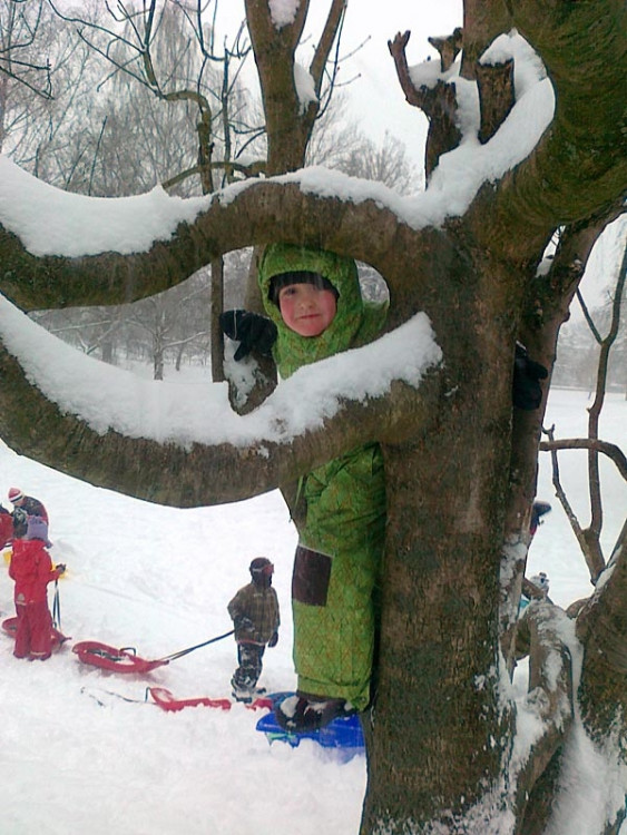 Budějce (17.1.2013). Foto Jan Novotný starší2