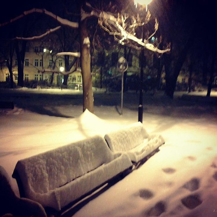 Park Na Sadech (17.1.2013). Foto Lenka Novotná