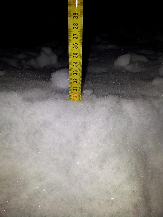 Zavadilka (17.1.2013). Foto Zdeněk Kuba