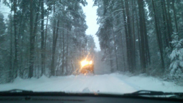 Cesta Budějce - Ločenice (17.1.2013). Foto Petra Jindrová