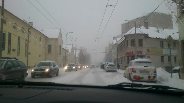 Cesta Budějce - Ločenice na Lidické (17.1.2013). Foto Petra Jindrová