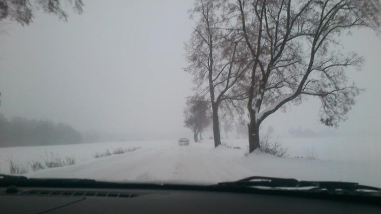 Cesta Budějce - Ločenice na Plavské (17.1.2013). Foto Petra Jindrová