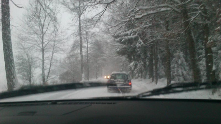 Cesta Budějce - Ločenice před Plavem (17.1.2013). Foto Petra Jindrová