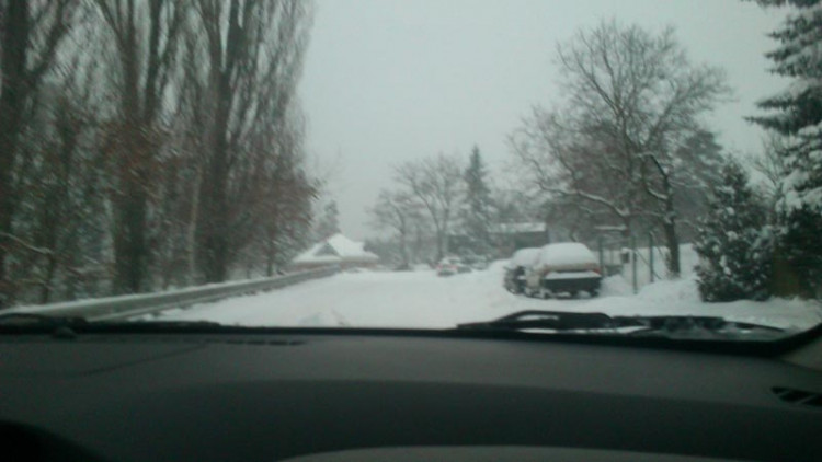 Cesta Budějce - Ločenice v Plavu (17.1.2013). Foto Petra Jindrová