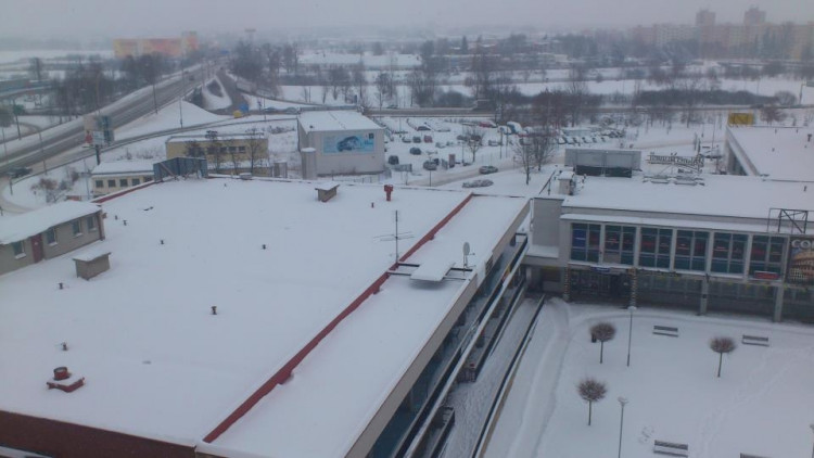 Františka Ondříčka (18.1.2013). Foto Martin Bíca