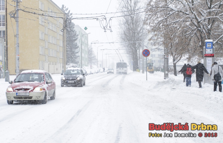 Branišovská (17.1.2013)