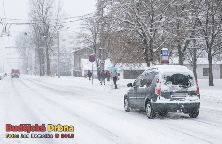 Branišovská (17.1.2013)