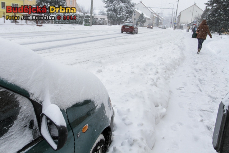 Branišovská (17.1.2013)