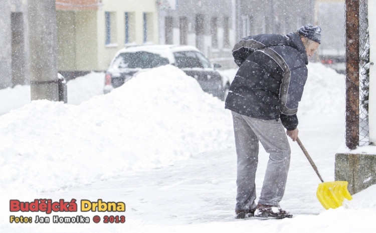 Budějce (17.1.2013)