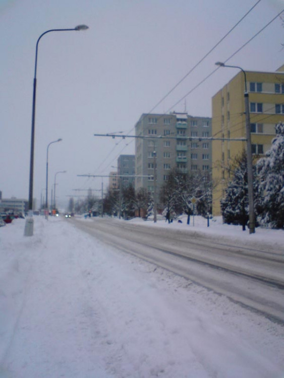 Branišovská (18.1.2013). Foto Jana Wein